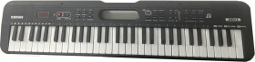 Pianko s mikrofonem
