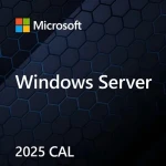 MS Windows Server CAL 2025 / Přístupová licence / 1 CAL (EP2-25286)