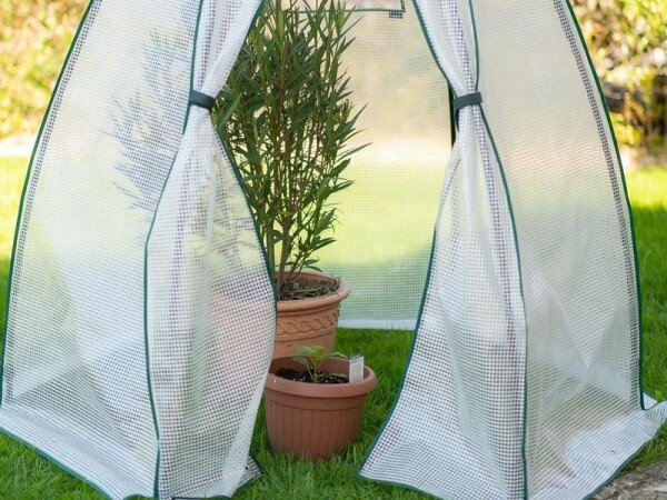 Fóliovník – Olive 1,6 x 1,6 m