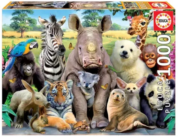 EDUCA Puzzle Fotka třídy