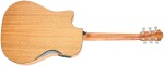Furch Blue Performance Dc-CM CNR Active 2026