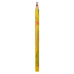 Astra Astra, 312118004, pastelka s mnohobarevnou tuhou, ergonomický tvar, 1 ks