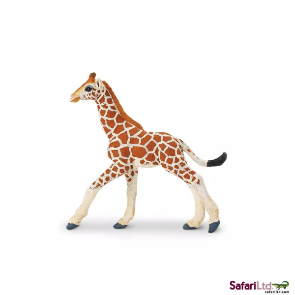 Safari Ltd. Safari Ltd. Mládě žirafy síťované