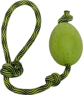 KIWI WALKER Hračka pro psy Vajíčko Maxi zelená / Házecí a plovací / TPR pěna / 8,5 cm (TPR-238)