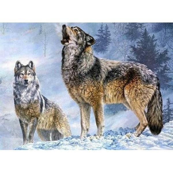 SMT Diamantový obrázek 30 x 40 cm Vlk s vlčicí 1005260