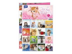 Pexeso kočky Pexeso kočky