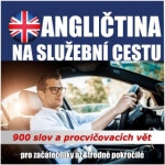 Angličtina na služební cestu - audioacademyeu - audiokniha