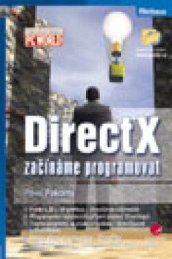 DirectX - Pavel Pokorný