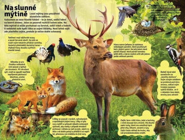 Velká kniha zvuků lese