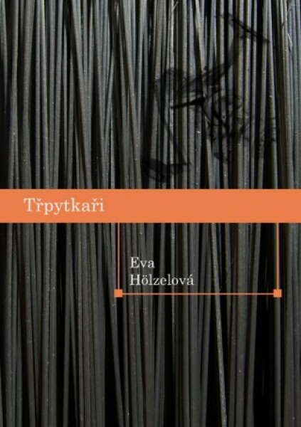 Třpytkaři - Eva Hölzelová - e-kniha