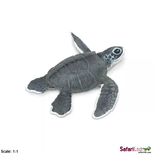 Safari Ltd. Safari Ltd. Mládě mořské želvy
