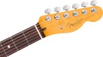 Fender American Professional Telecaster RW DK NIT