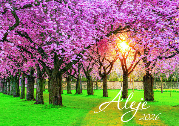 Nástěnný kalendář 2026 Graspo - Aleje