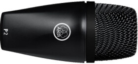 AKG Perception Live P2 A-Stock