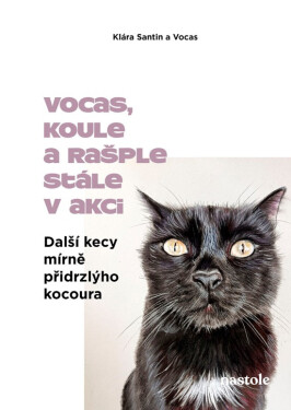 Další kecy mírně přidrzlýho kocoura - Klára Santin