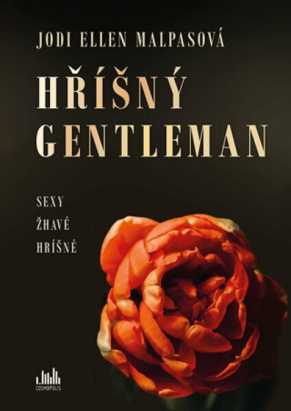 Hříšný gentleman - Jodi Ellen Malpasová