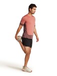ICEBREAKER Mens Merino Blend 125 ZoneKnit™ Energy Wind SS Tee, Carob/Plume/Cb (vzorek) velikost: M