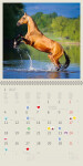 Nástěnný kalendář 2027 Helma Horses