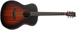 Tanglewood TC3