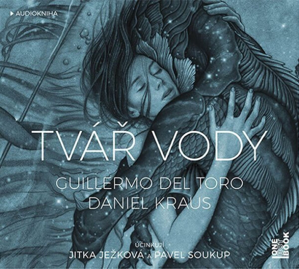 Tvář vody