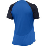 Nike NK DF Academy Pro W Tričko DH9242 463 L