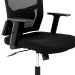 Kancelářská židle, houpací mechanismus, černá síťovina, KA-B1013 BK