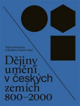 Dějiny umění v českých zemích 800-2000 - Taťána Petrasová