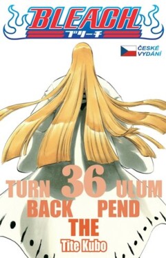 Bleach 36: