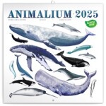 Kalendář 2025 poznámkový: Animalium, 30 30 cm