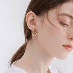 Elegantní visací náušnice s tygřím okem - stříbrné zapínání, Hnědá