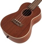 Bamboo U-23 Sapele