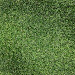 Travní koberec Capri 1X2M