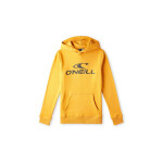 Mikina O'Neill Logo Hoodie Jr 92800615006