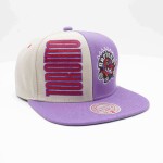 Mitchell & Ness Pánská kšiltovka Toronto Raptors NBA Pop Panel Snapback