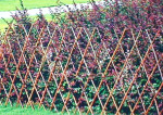 GEOMAT Opěra z vrbového proutí – Willow Trellis 1×2 m [2 m²]