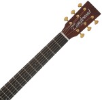 Tanglewood TE5BL