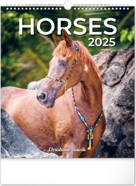 Kalendář 2025 nástěnný: Koně, 30 34 cm