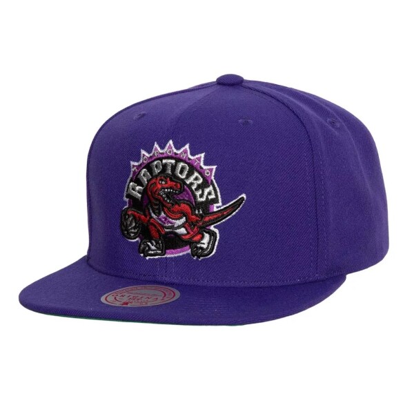 Mitchell & Ness Pánská kšiltovka Toronto Raptors NBA Conference Patch Snapback Hardwood Classics