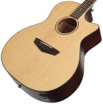 D'Angelico Premier Gramercy LS Natural
