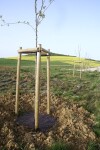 Rozložitelná ekotextilie ze 100% biomasy přírodními vlákny) Agrotextílietilie EKO+ 157 g/m² m²]