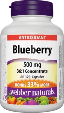 Webber Naturals Blueberry 500 mg 120 cps (10621)
