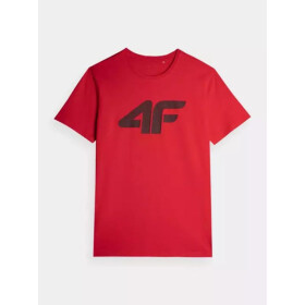 Pánské tričko 4F 4FAW23TTSHM0877-62S
