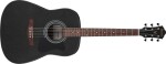 Ibanez V54NJP Weathered Black