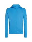 Pánská merino mikina ICEBREAKER Mens 260 Quantum IV LS Zip Hoodie, Arctic velikost: M