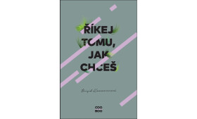 Říkej tomu, jak chceš, 1. vydání - Brigid Kemmererová