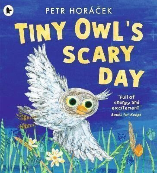 Tiny Owl´s Scary Day - Petr Horacek