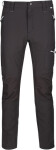 Pánské outdoorové kalhoty Regatta RMJ225R Questra II 61I tmavě šedé Šedá