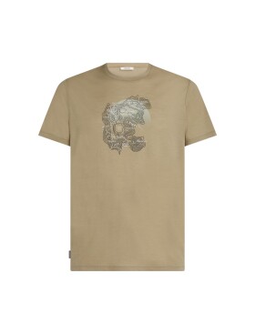 ICEBREAKER Mens 150 Tech Lite SS Tee Ruape Rou, Flagstone velikost: S