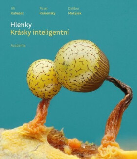 Hlenky - Krásky inteligentní - Pavel Krásenský