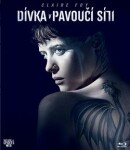 The Girl in the Spider´s Web, 1. vydání - David Lagercrantz